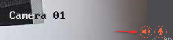 Speaker broadcast button